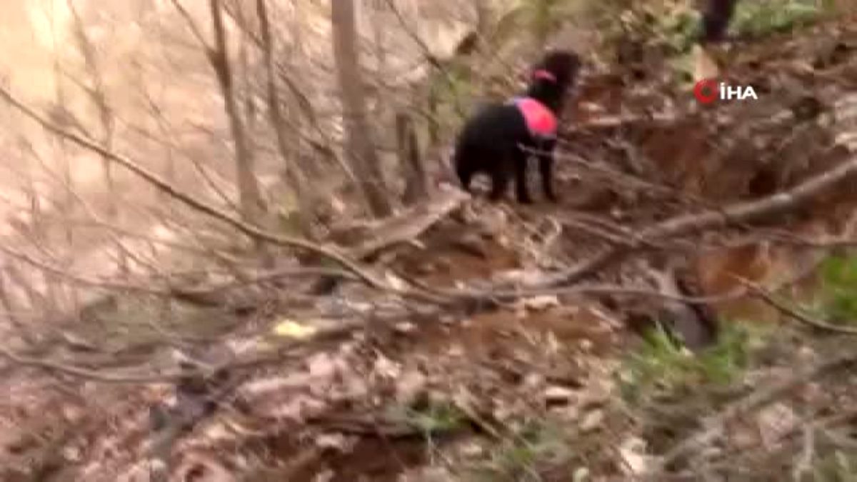 Bingöl Jandarma Komutanlığı ndan Yayladere de  Kırköy operasyonu