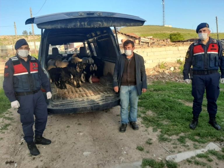 Kuzular ile çalınan annelerini jandarma kavuşturdu