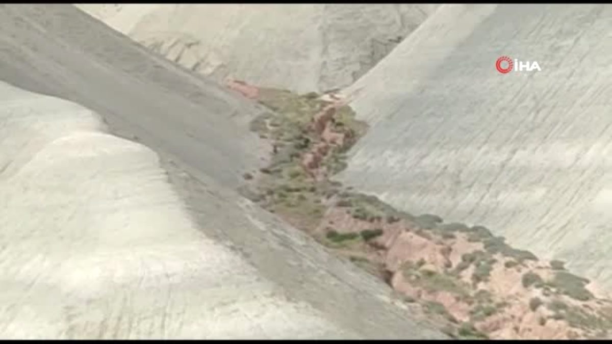 Nallıhan da domuz sürüsü görüldü