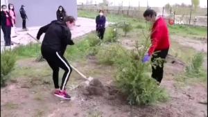 Van da 14 günlük karantinada kalanlar fidan dikti