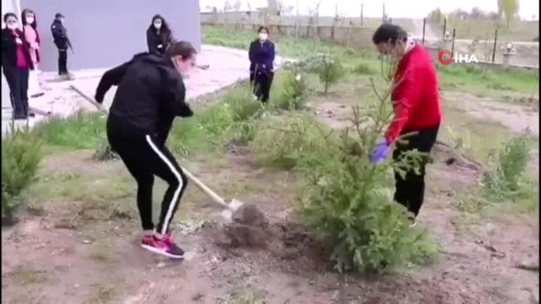 Van da 14 günlük karantinada kalanlar fidan dikti