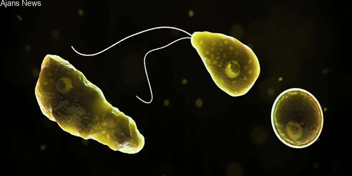 İçme Suyundan beyin yiyen amip görüldü