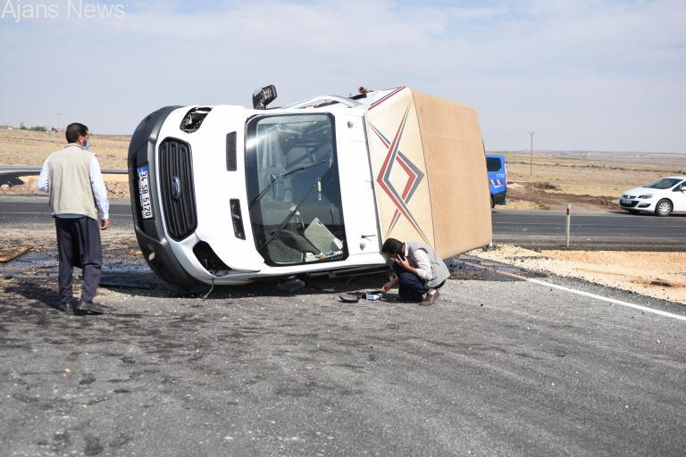 Hayvan yüklü 2 kamyonet çarpıştı