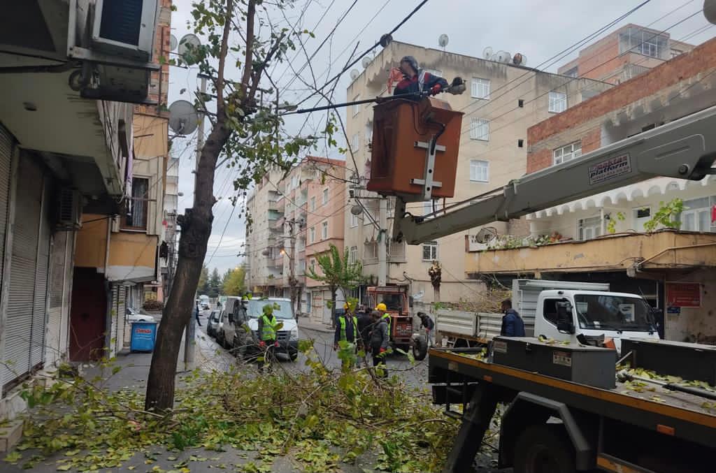 Bağlar’da kuru dallar temizleniyor