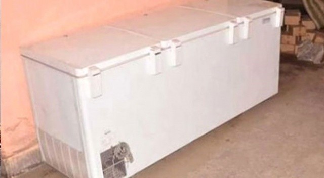 Ölen annesini 10 yıl dondurucuda sakladı