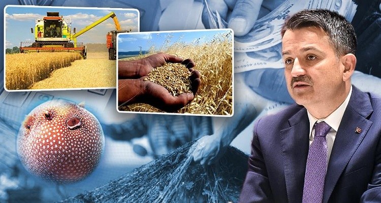 Destek Ödemeleri Bugün Başlıyor