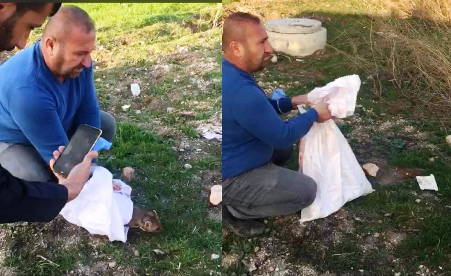 Diyarbakır’da nesli tükenme olan kaya sansarı görüldü