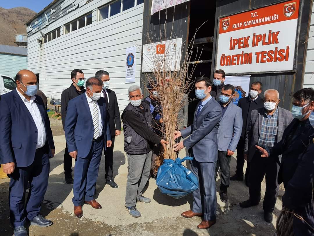 Kulp’ta 15.000 Adet Dut Fidanı Dağıtım Töreni