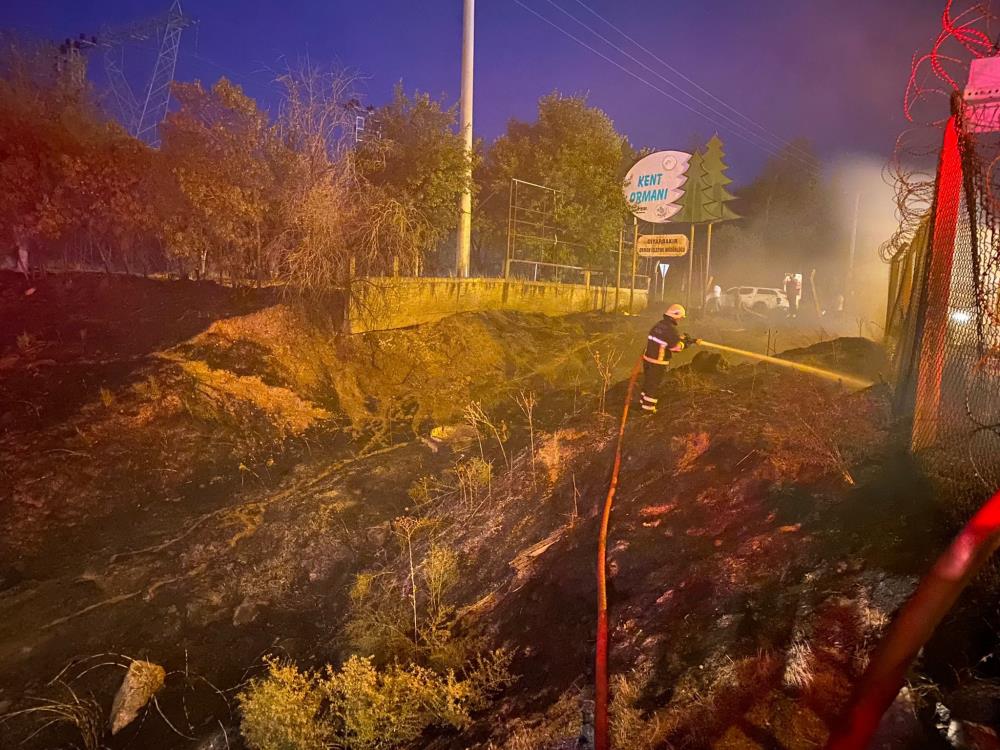 Diyarbakır’da ormanlık alanı yakmaya çalışan 4 çocuk tutuklandı