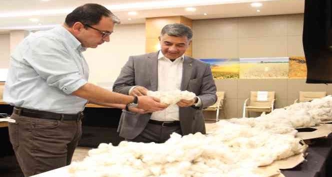 Diyarbakır Ticaret Borsası’nda online pamuk alım satımı