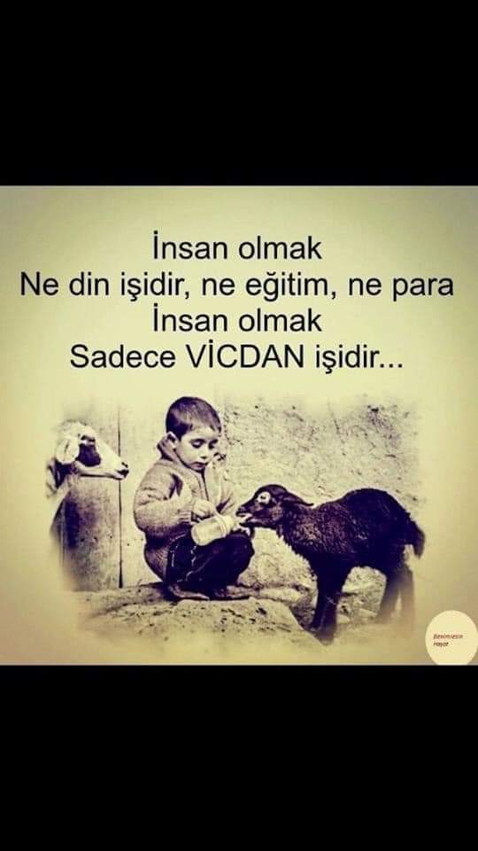 Cihat Toprak: Bir Sorununuz Var