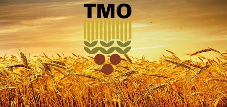 TMO’dan buğdaya yüzde 22 zam