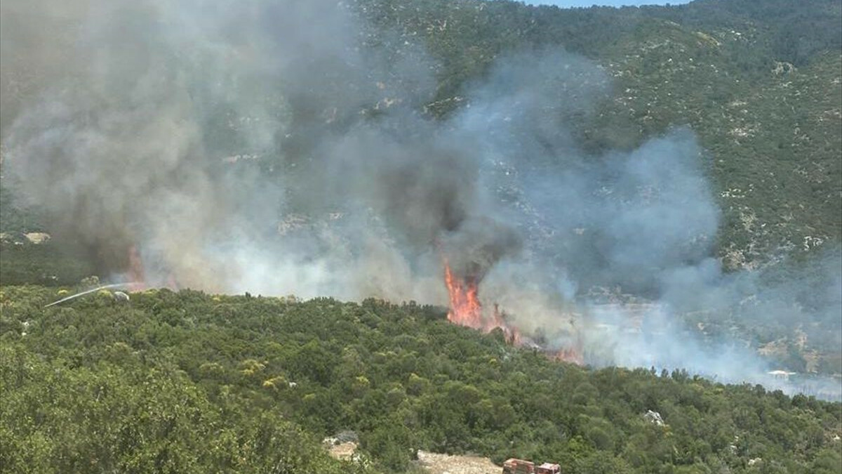 Yerlikaya, yaşanan orman yangınlarının bilançosunu açıkladı