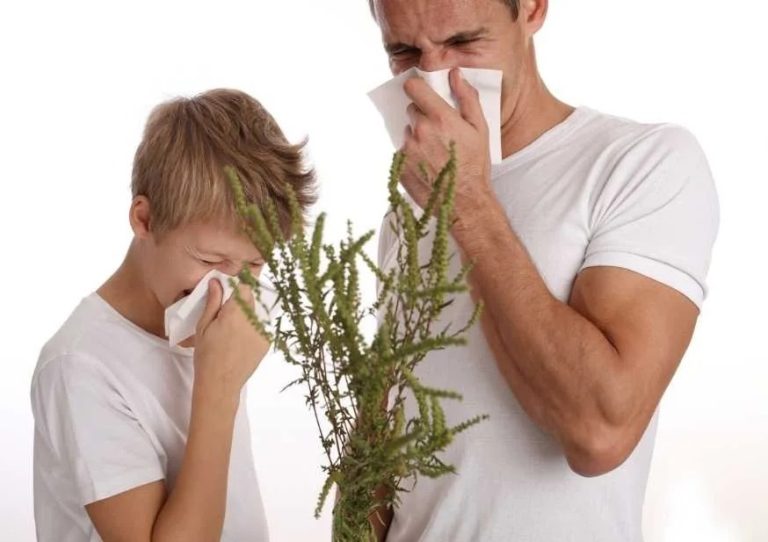 Polen Allerjisine Dikkat!