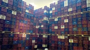 Hal Kayıt Sistemi’ne bildirilmeyen 380 ton limon tespit edildi