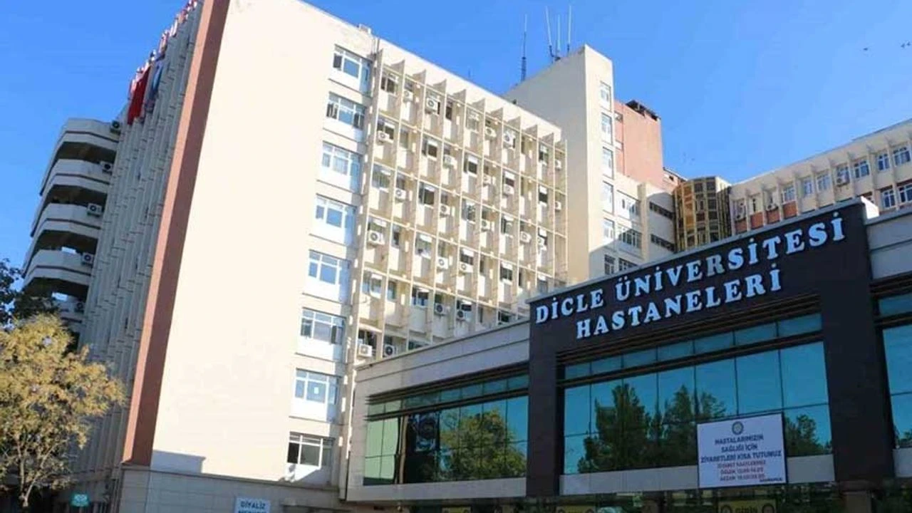 Diyarbakır, Çocuk Sağlığı Alanında Uluslararası Bir Zirveye Ev Sahipliği Yapıyor