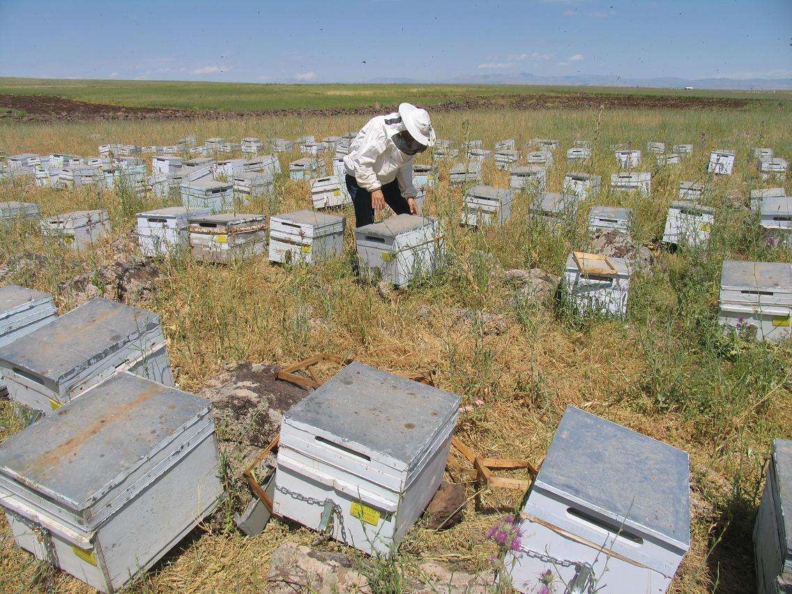 Diyarbakır’da Tarım Sektörüne 158 Milyon TL’lik Dev Destek