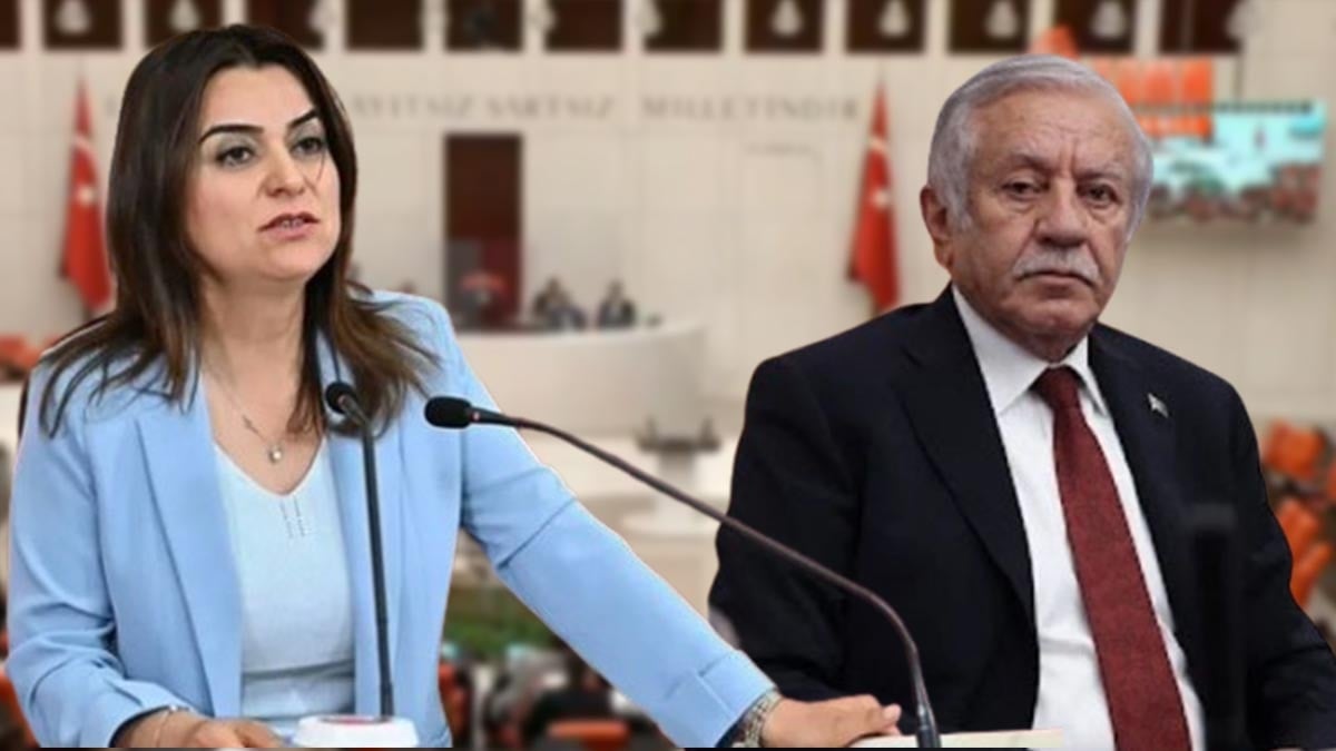 TBMM’de Kürtçe konuştuğu sırada Koçyiğit’in mikrofonun sesi kapandı