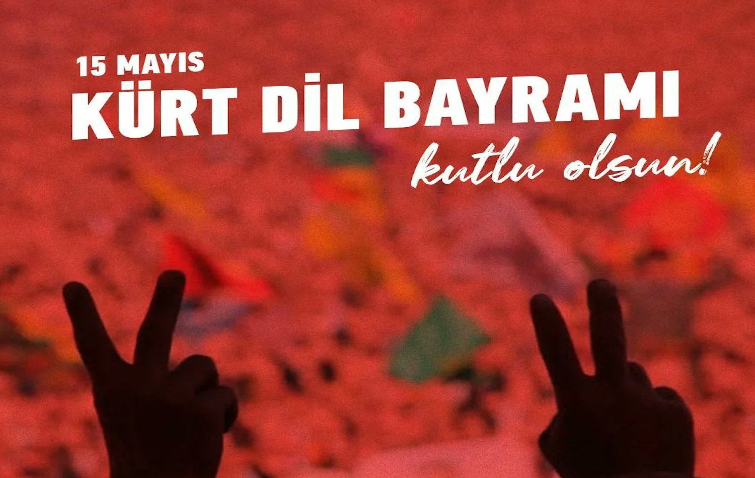 STK’lardan çağrı: Kürtçe resmi ve eğitim dili olsun