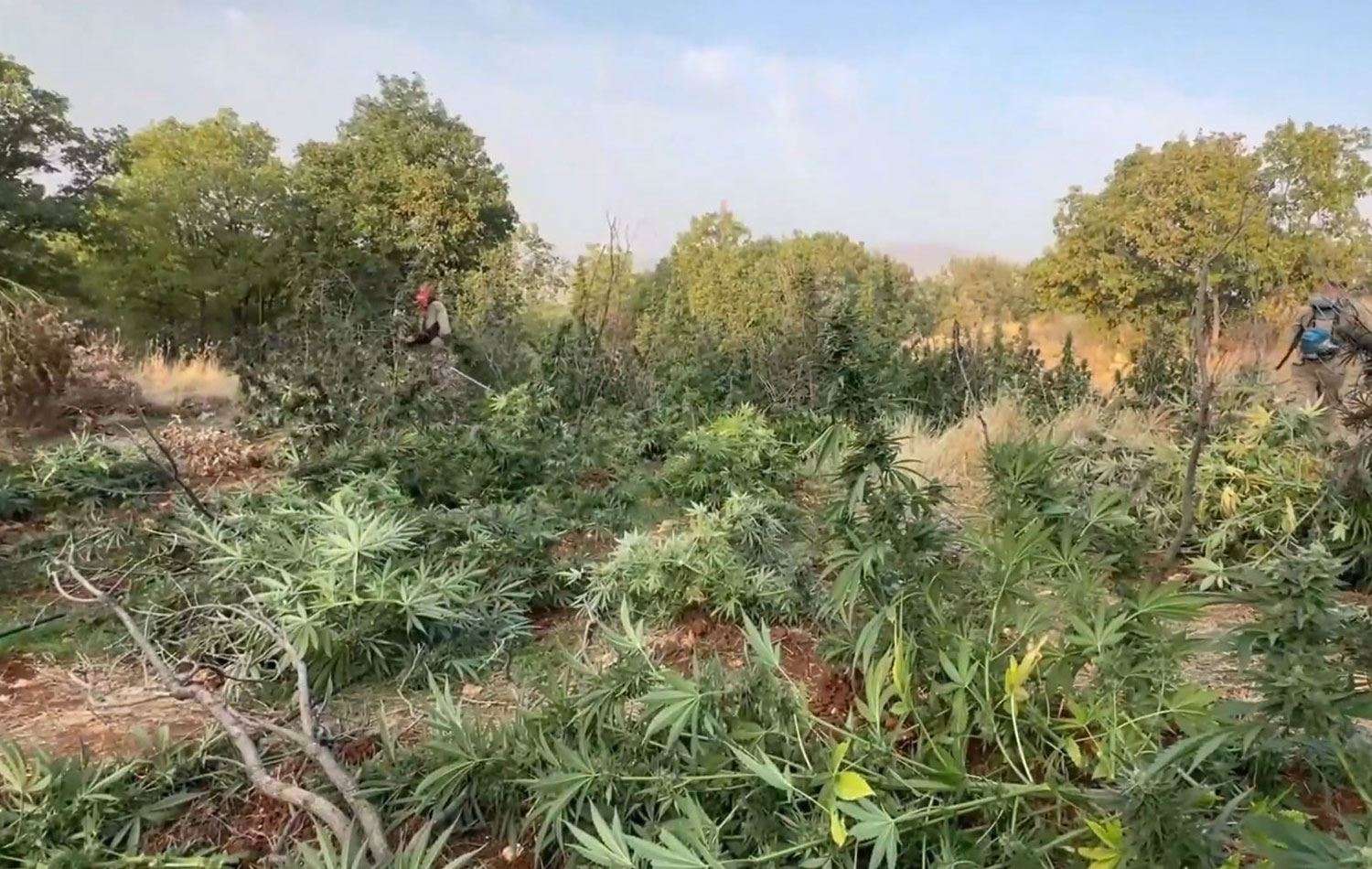 Yerlikaya: Diyarbakır’da 7 zehir taciri yakalandı