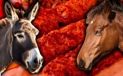 Kırmızı et diye ‘eşek eti’ satmışlar
