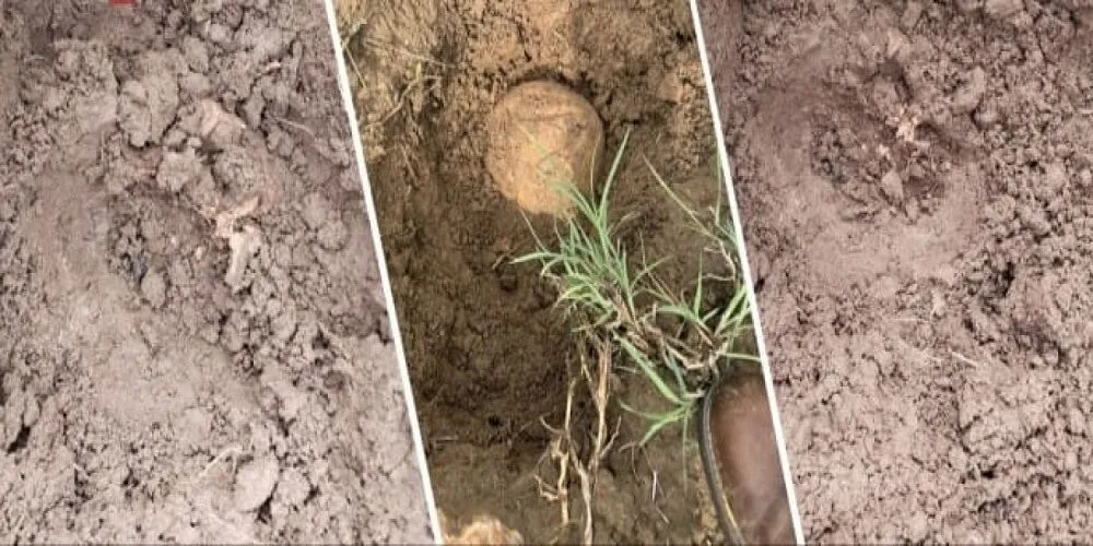 Lice’de İnsan Kemikleri Bulundu: Soruşturma Başlatıldı
