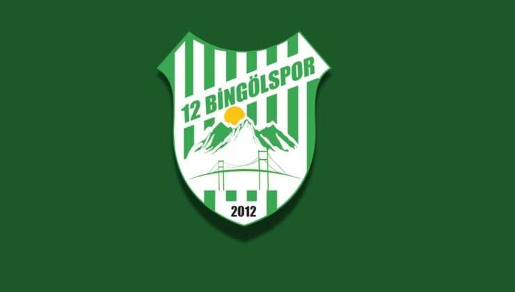Sadık Elaldı, 12 Bingölspor Yönetiminde