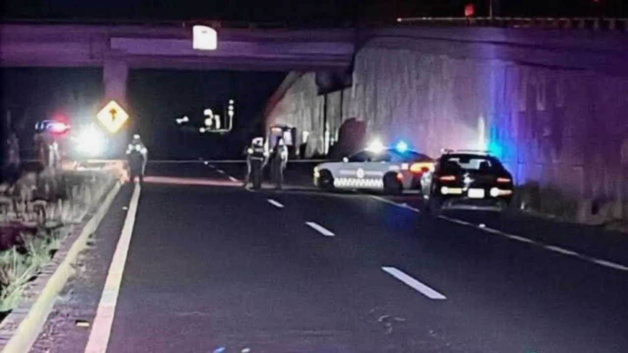 Meksika’da 20 erkek cesedi bulundu!