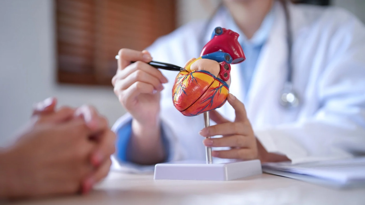 Bilim İnsanları Kalp Yaşınızı ve Riskinizi Hesaplayan Çevrimiçi Araç Geliştirdi