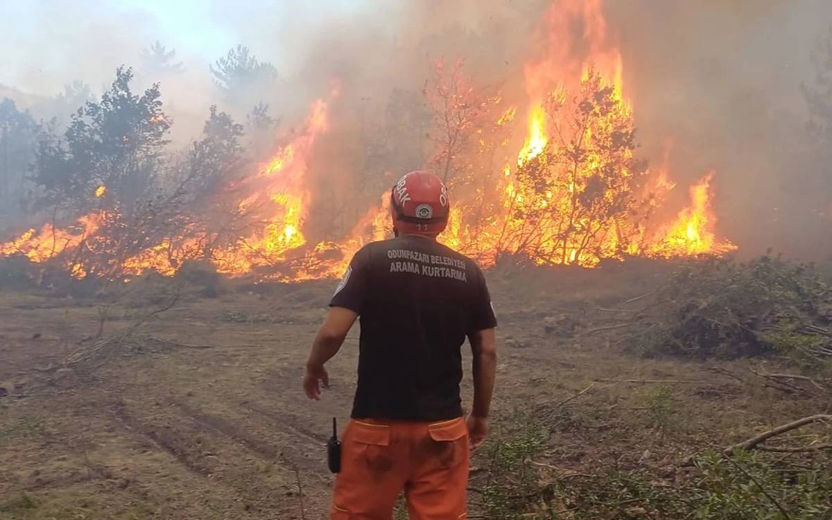 Eskişehir’de Şehit Olan Orman İşçilerinin Cenazeleri Memleketlerine Gönderilecek