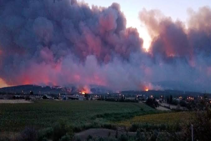 Eskişehir’de orman yangını:11 orman işçisi hayatını kaybetti