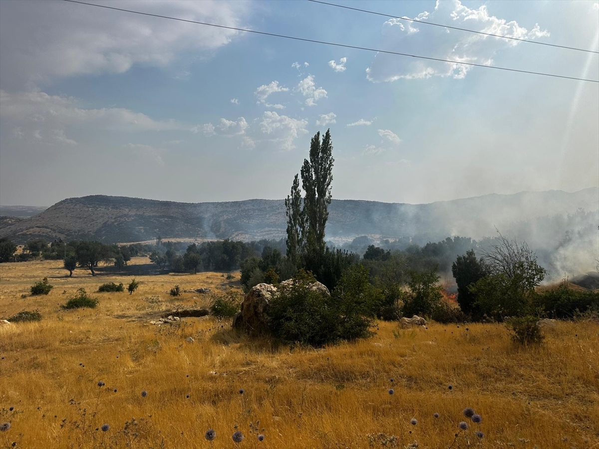 Lice’de 2 gündür süren orman yangını söndürüldü