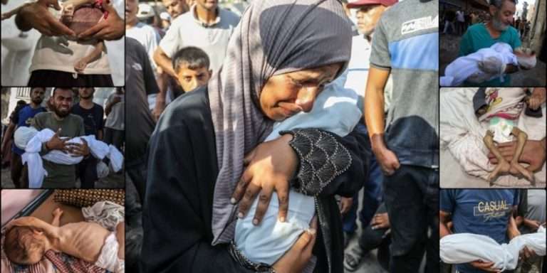 Cihat TOPRAK: İslam Dünyası ve Gazze Katliamı Karşısında Tarihi Sınav