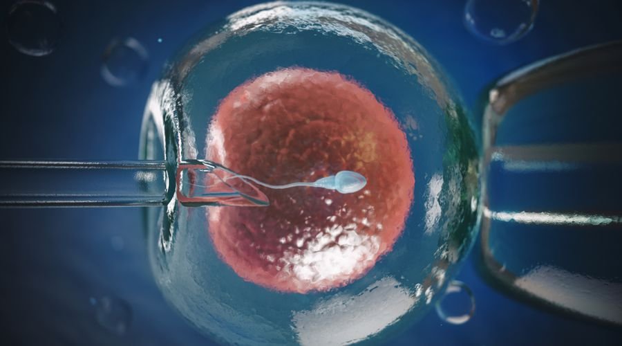 30 Yıllık Embriyodan “Dünyanın En Yaşlı Bebekleri” Doğdu