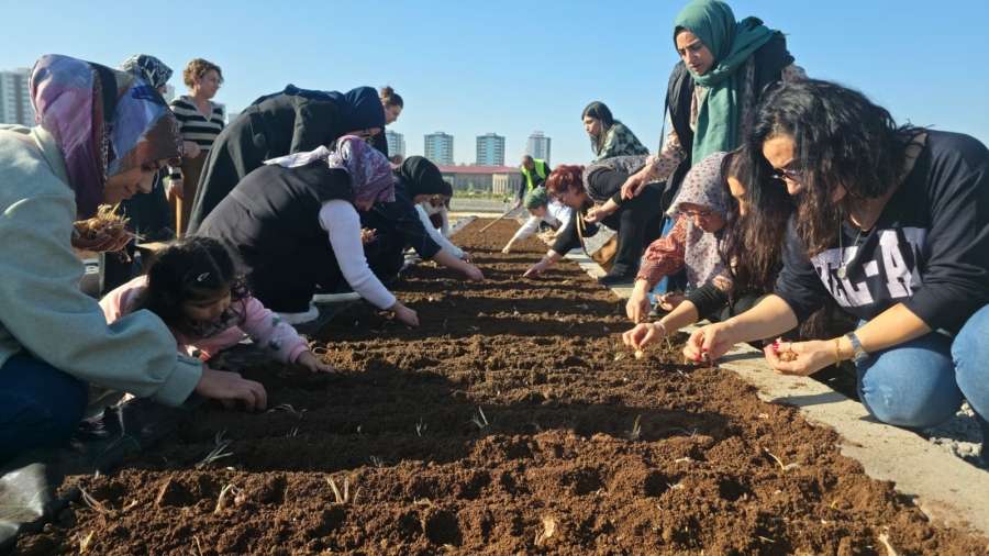 Diyarbakırlı Kadınlar “Kırmızı Altın”ı Toprakla Buluşturdu