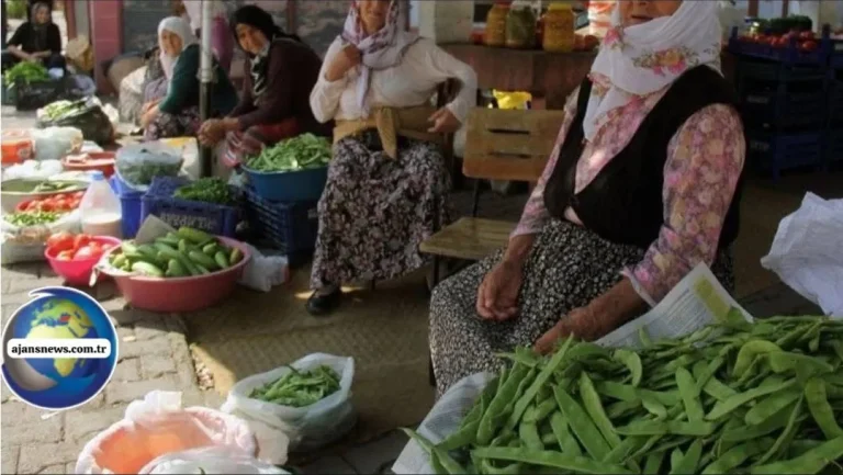Toprağın Sesi, Kadının Emeği: Aşefçiler Çarşısı’nın Saklı Tarihi