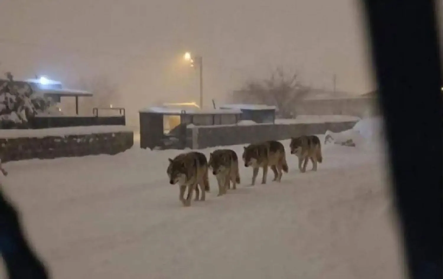 DİYARBAKIR’DA TARİHİ SOĞUKLUK: EKSİ 13