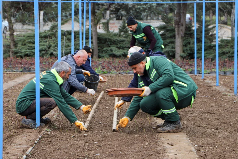Diyarbakır’ın Refüjleri Kendi Gülleriyle Renklenecek: 25 Bin Fidan İçin Düğmeye Basıldı