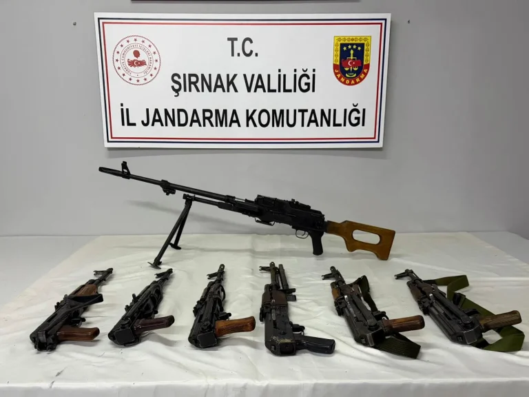 Şırnak’ta Cephanelik Gibi Ev: Çok Sayıda Silah ve Tarihi Eser Ele Geçirildi