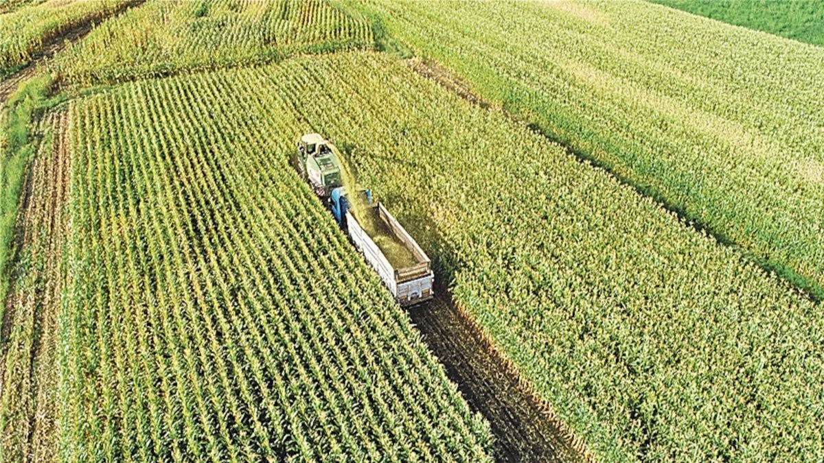 Tarımda “Sıfır Vergi” Dönemi: İki Kritik Gübre İçin Karar Çıktı!