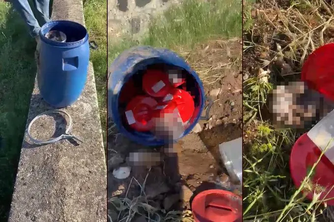 Şanlıurfa’da mezarlıkta,Plastik bidon içerisinde 21 cenin Bulundu!