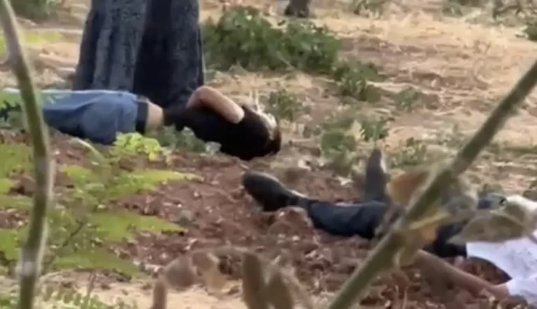 Batman’da Mezarlıkta Kanlı Saldırı: Aynı Aileden 3 Kişi Hayatını Kaybetti