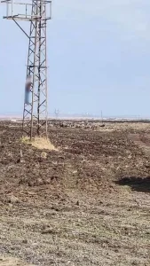 Diyarbakır’da Eşiyle Tartışan Vatandaş İntihar Etti